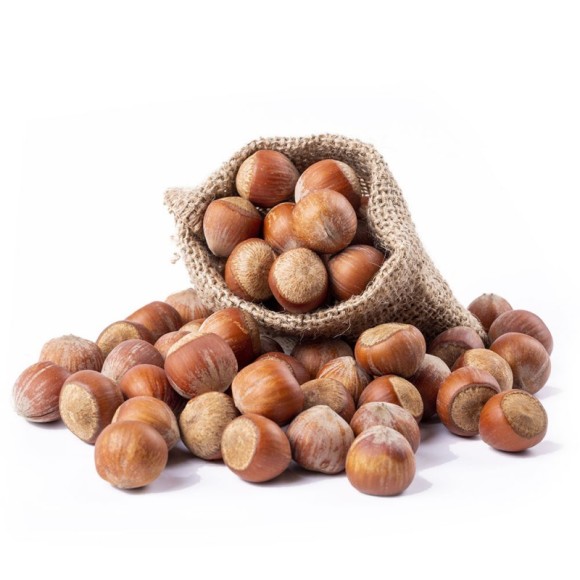 Nocciole in guscio qualità Mortarella - 5 kg