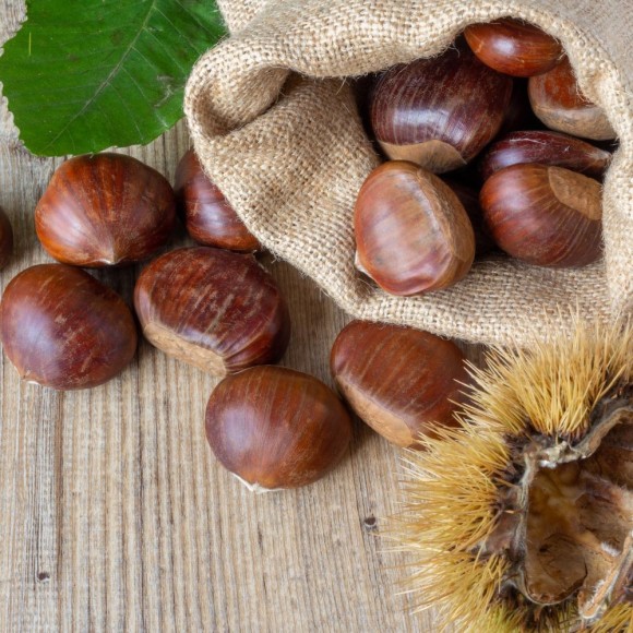 Castagne fresche qualità Marrone - 5 kg